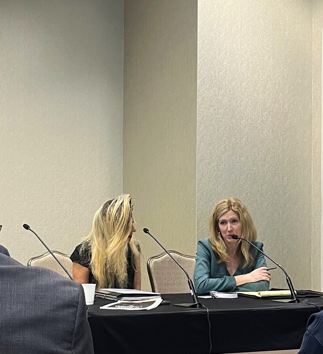 Panel discussion at the 2026 Annual Meeting